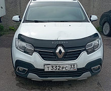 превью Renault Sandero фото 1 